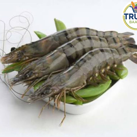 সারক্ষীরার বাগদা চিংড়ি (২০/২৫ পিছ)