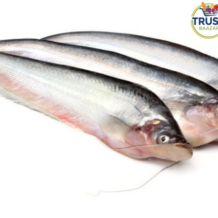 পাবদা মাছ (বড়)